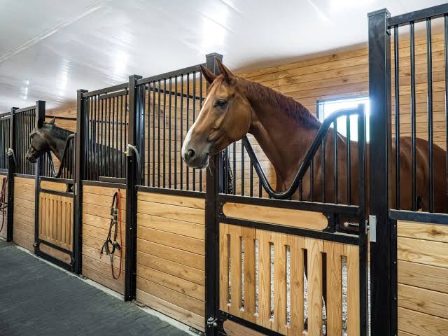 Rubber Mats for Large Animals: Safety and Comfort Tips