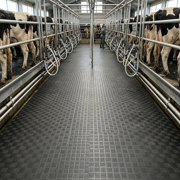 Dairy Shed Milking Parlour Mat