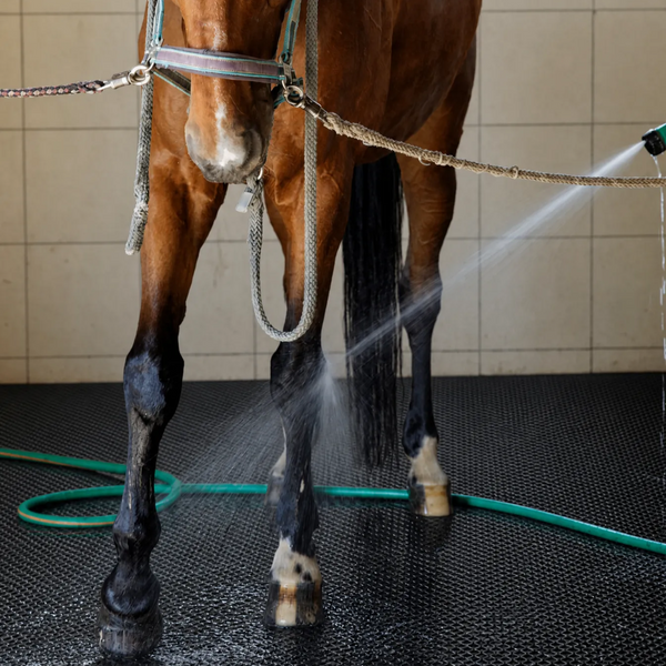 Horse Stable Mat — Stall
