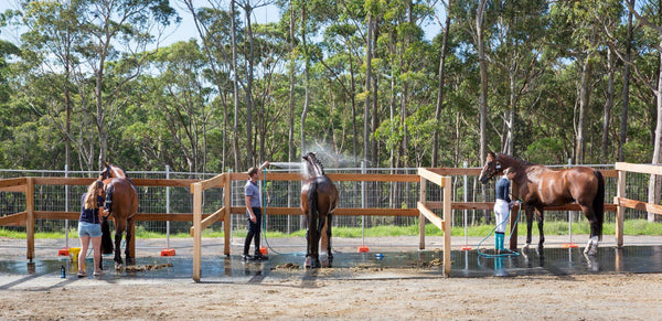 Horse Wash Bay Mat Benefits, Fit, and Easy Maintenance