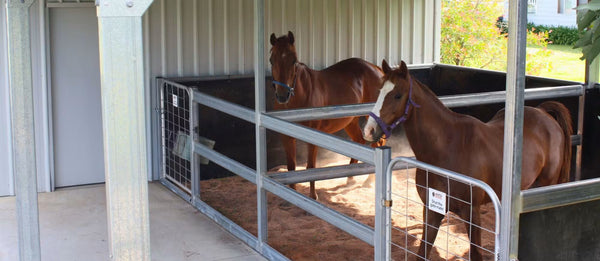 Waterproof Stable Mats: Comfort and Clean Tips