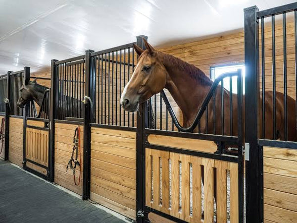 Rubber Mats for Large Animals: Safety and Comfort Tips