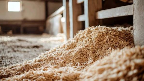 How Mats Reduce Bedding Waste in Clean Spaces