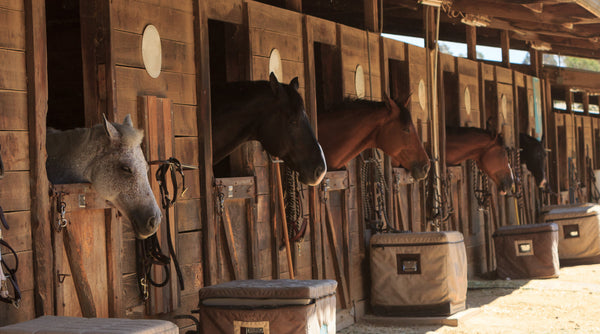 Benefits of UV Stable Horse Mats for Outdoor Arenas