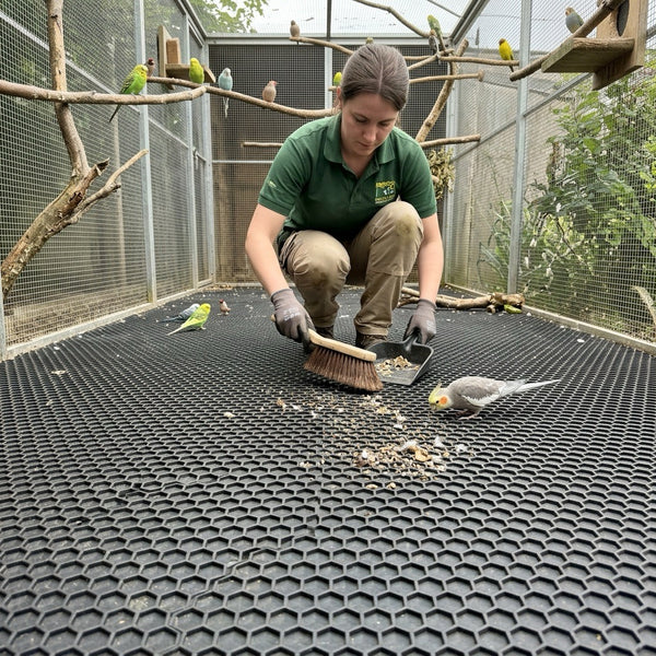 Bird Aviary Floor Mat