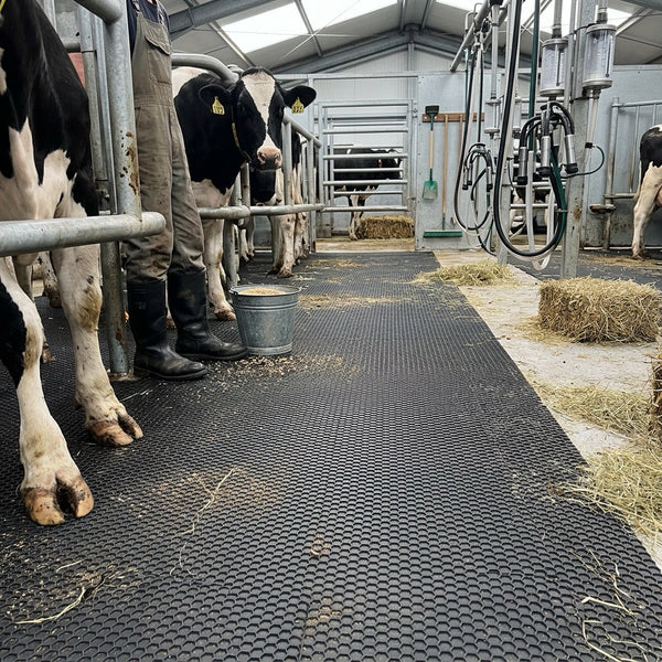 Cattle Crush Mat