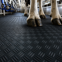 Alpaca Float Transport Mat