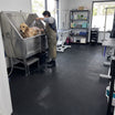 Dog Grooming Salon Mat