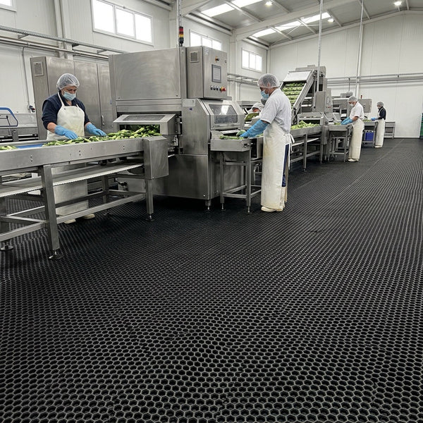 Food Processing Plant Production Line Mat