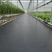 Greenhouse Walkway Mat