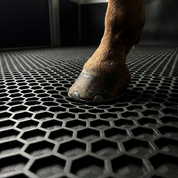 Horse Float Mat