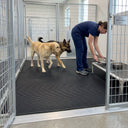 Pet Boarding Facility Run Mat