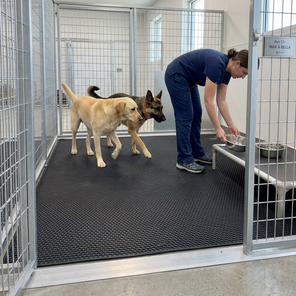 Pet Boarding Facility Run Mat