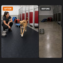 Dog Training Facility Mat
