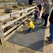 Petting Zoo Animal Contact Area Mat