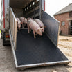 Pig Transport Trailer Mat