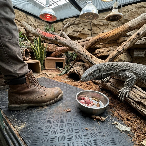 Reptile Enclosure Mat