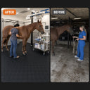 Veterinary Clinic Large Animal Mat