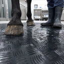 Veterinary Clinic Large Animal Mat