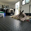 Wildlife and Rescue Animal Transport Mat