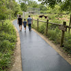 Wildlife Sanctuary Pathway Mat